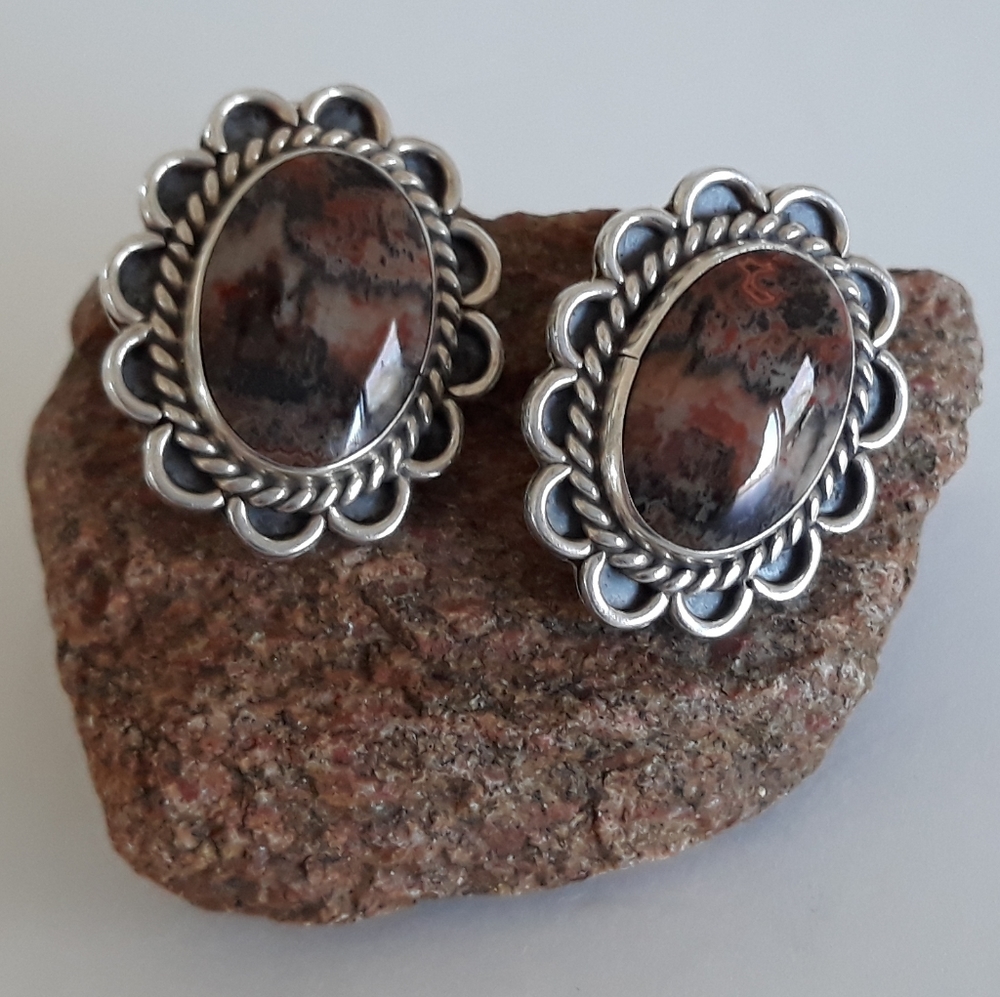 Vintage Navajo Petrified Wood Sterling Silver Clip Earrings Unsigned